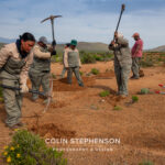 Environmental Photographers: Telling the Story of Our Planet's Future