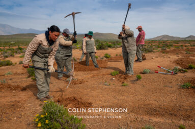 Environmental Photographers: Telling the Story of Our Planet's Future