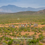 Environmental Photographer Africa: Telling the Story of Our Planet's Future