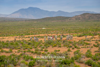 Environmental Photographer Africa: Telling the Story of Our Planet's Future