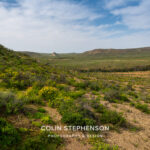 Environmental Photographer Africa: Telling the Story of Our Planet's Future