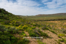 Environmental Photographer Africa: Telling the Story of Our Planet's Future