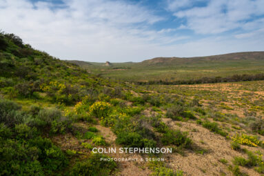 Environmental Photographer Africa: Telling the Story of Our Planet's Future