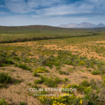 Environmental Photographer Africa: Telling the Story of Our Planet's Future