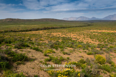 Environmental Photographer Africa: Telling the Story of Our Planet's Future