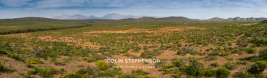 Environmental Photographer Africa: Telling the Story of Our Planet's Future