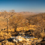 Environmental Photographer Africa