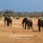 Environmental Photographer Africa