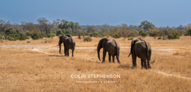 Environmental Photographer Africa