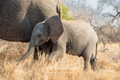Environmental Photographer Africa