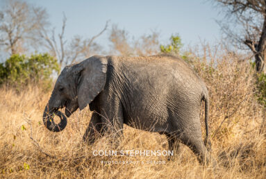 Environmental Photographer Africa