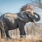 Environmental Photographer Africa