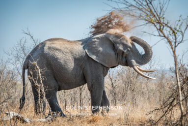 Environmental Photographer Africa