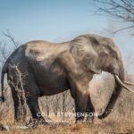 Environmental Photographer Africa