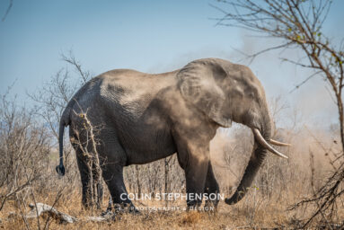 Environmental Photographer Africa