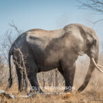 Environmental Photographer Africa