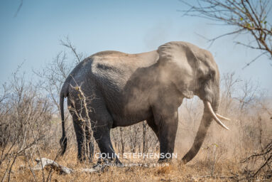 Environmental Photographer Africa