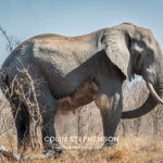 Environmental Photographer Africa