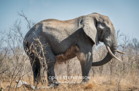 Environmental Photographer Africa