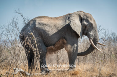 Environmental Photographer Africa