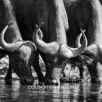 Environmental Photographer Africa