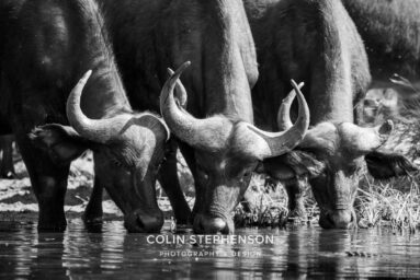 Environmental Photographer Africa