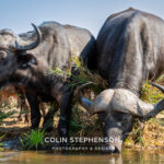 Environmental Photographer Africa
