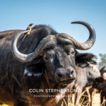 Environmental Photographer Africa