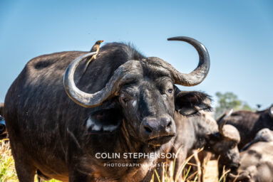 Environmental Photographer Africa