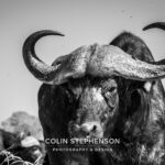Environmental Photographer Africa