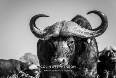 Environmental Photographer Africa