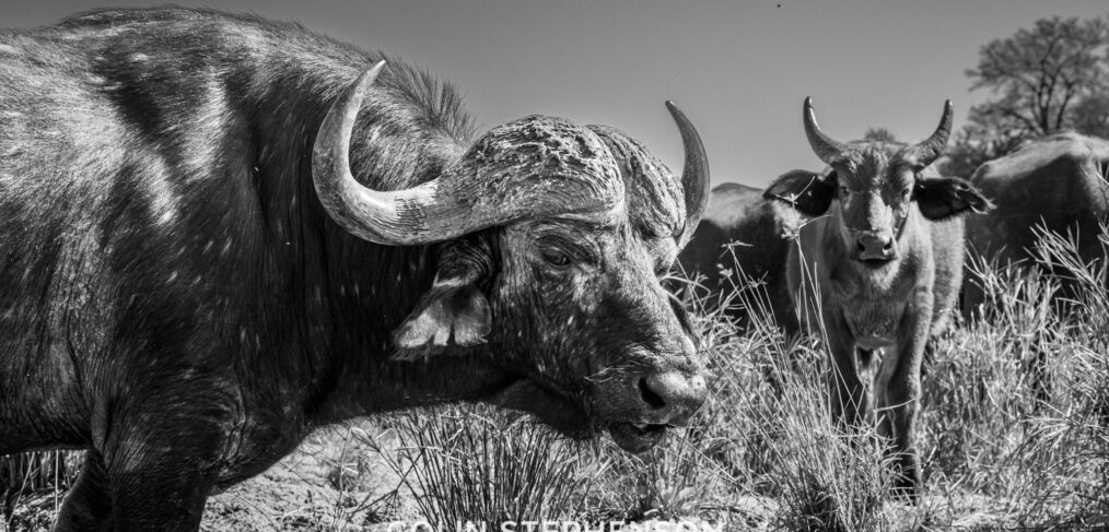 Environmental Photographer Africa