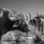 Environmental Photographer Africa