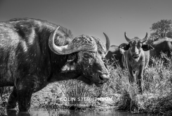 Environmental Photographer Africa