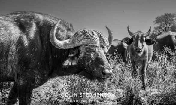 Environmental Photographer Africa