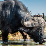 Environmental Photographer Africa