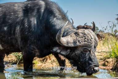 Environmental Photographer Africa