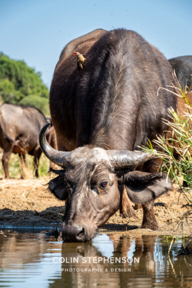 Environmental Photographer Africa