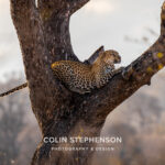Environmental Photographer Africa