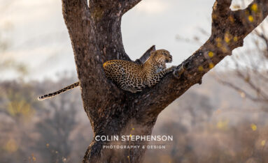 Environmental Photographer Africa