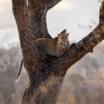 Environmental Photographer Africa
