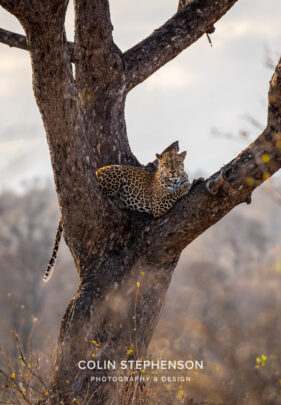 Environmental Photographer Africa