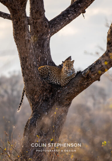 Environmental Photographer Africa
