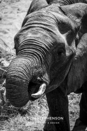 Environmental Photographer Africa