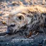 Environmental Photographer Africa