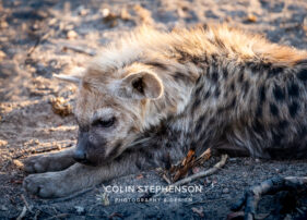 Environmental Photographer Africa