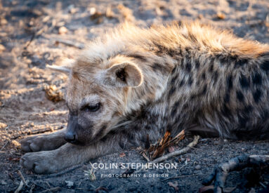 Environmental Photographer Africa
