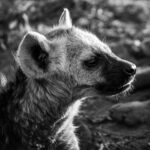 Environmental Photographer Africa