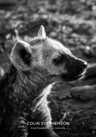 Environmental Photographer Africa