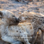 Environmental Photographer Africa